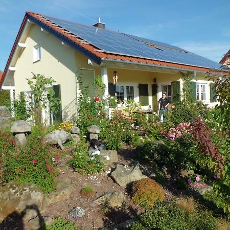 Ferienwohnung Zur Egge Bad Driburg Exterior photo